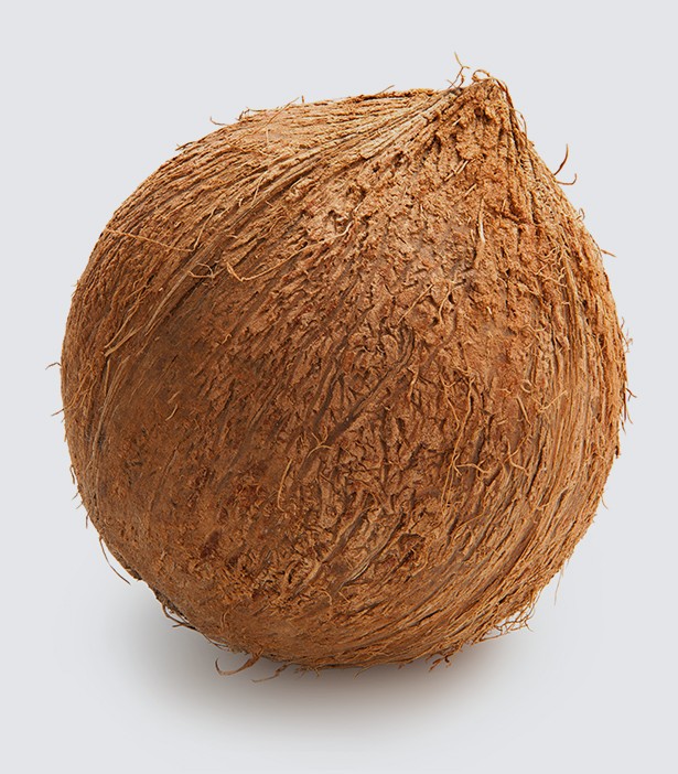 Nanotechnology by nature